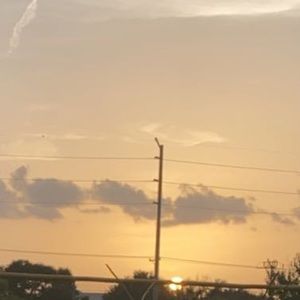 Meet your Posher, Kitzya